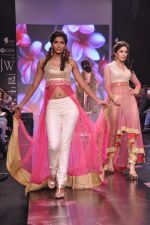 Model walk for Auro Gold show at IIJW 2013 in Mumbai on 4th Aug 2013 (12).JPG